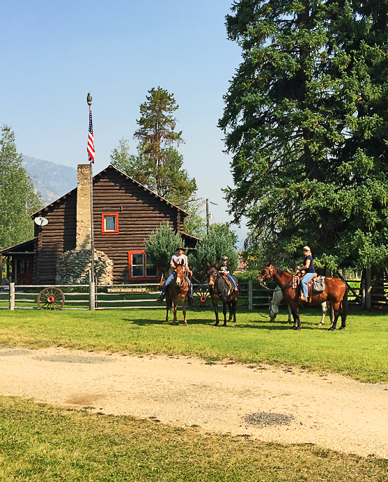 Horse Riding